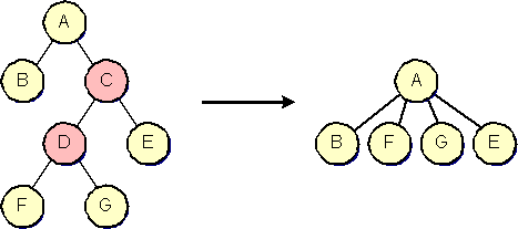 Group structure before and after the removal of C and D without children